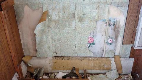 Bleed Out '17 - Brook-Hill-Home87.jpg