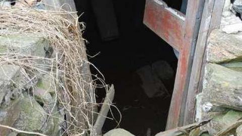 May 2011 - DSC_3054.jpg