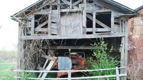 May 2011 - DSC_3074.jpg