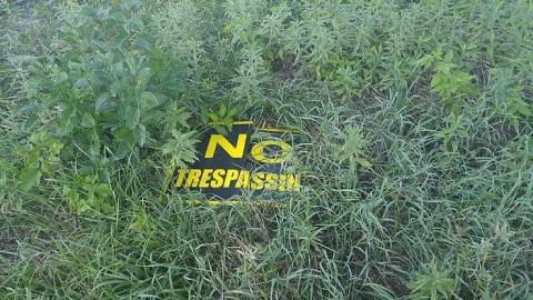 Camp 30 2016 - Camp-30-Bowmanville1303.jpg