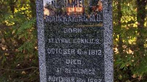 They Walk Beside Us  - Pioneer-Presbyterian-Cemetery2.jpg