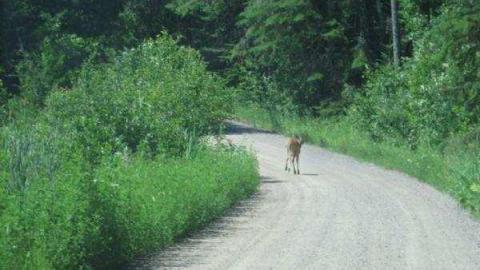 Gallery - Old-Hastings-Colonization-Rd.9.jpg