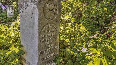 They Walk Beside Us  - Pioneer-Presbyterian-Cemetery12.jpg