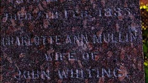 They Walk Beside Us  - Pioneer-Presbyterian-Cemetery26.jpg