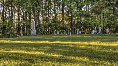  Brantastic Upkeep  - Governers-Rd.-Pioneer-Cemetery6.jpg