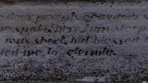 Photo from  Brantastic Upkeep 