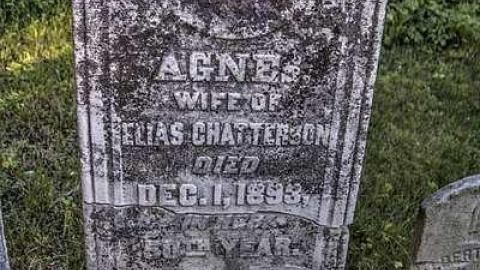  Brantastic Upkeep  - Governers-Rd.-Pioneer-Cemetery14.jpg