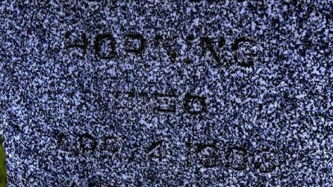 Photo from  Brantastic Upkeep 