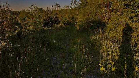 Johnson On Johnson - Johnson-Road-Cemetery12.jpg