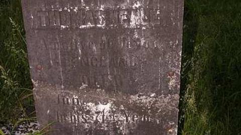 Johnson On Johnson - Johnson-Road-Cemetery15.jpg