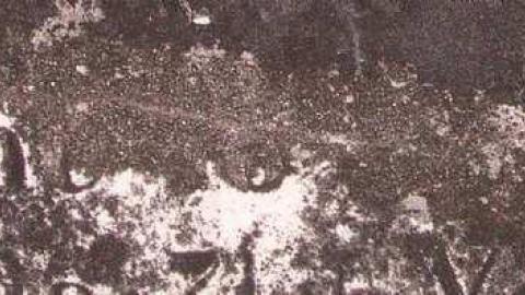 Johnson On Johnson - Johnson-Road-Cemetery18.jpg