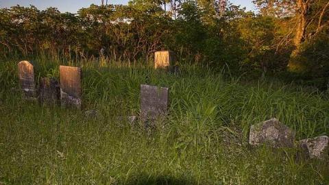 Johnson On Johnson - Johnson-Road-Cemetery8.jpg