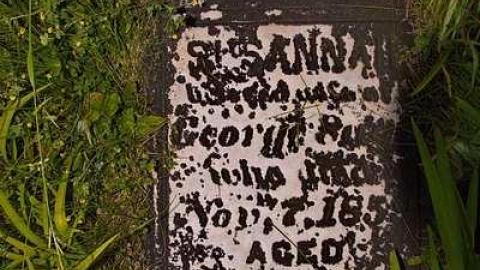 Johnson On Johnson - Johnson-Road-Cemetery5.jpg