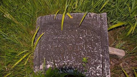 Johnson On Johnson - Johnson-Road-Cemetery9.jpg