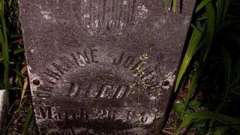 Johnson On Johnson - Johnson-Road-Cemetery10.jpg