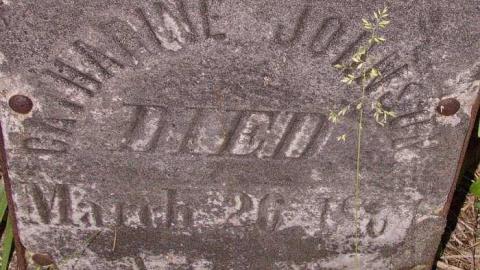 Johnson On Johnson - Johnson-Road-Cemetery7.jpg