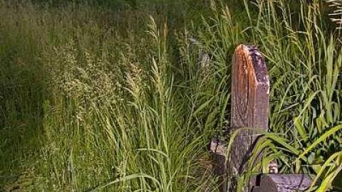 Johnson On Johnson - Johnson-Road-Cemetery28.jpg