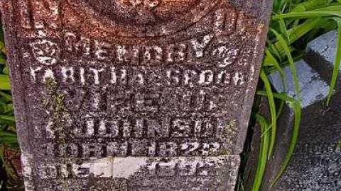 Johnson On Johnson - Johnson-Road-Cemetery19.jpg