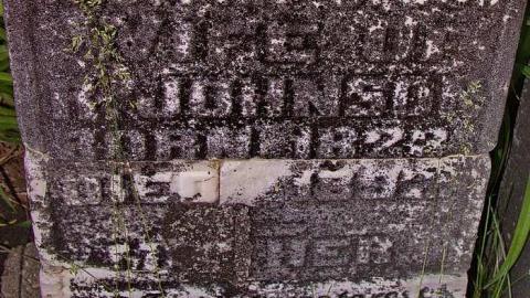 Johnson On Johnson - Johnson-Road-Cemetery29.jpg