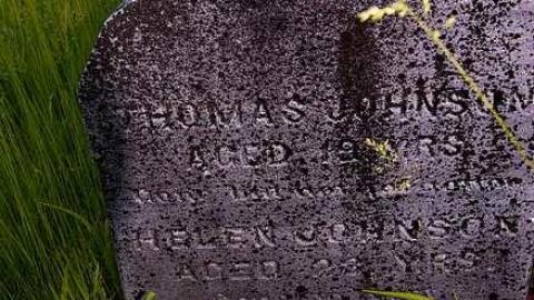 Johnson On Johnson - Johnson-Road-Cemetery20.jpg