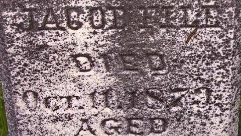 Johnson On Johnson - Johnson-Road-Cemetery21.jpg