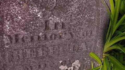 Johnson On Johnson - Johnson-Road-Cemetery24.jpg