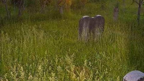 Johnson On Johnson - Johnson-Road-Cemetery34.jpg