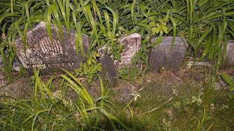 Johnson On Johnson - Johnson-Road-Cemetery25.jpg