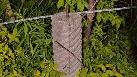 Johnson On Johnson - Johnson-Road-Cemetery35.jpg