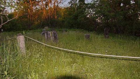 Johnson On Johnson - Johnson-Road-Cemetery36.jpg