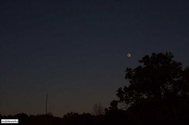 Johnson Road Cemetery photo 3