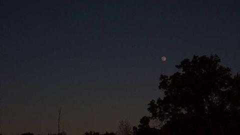 Photo from Johnson On Johnson