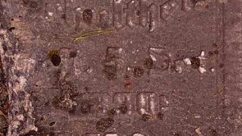 Forever Farming - Smetzer-Pioneer-Cemetery4.jpg