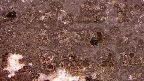 Forever Farming - Smetzer-Pioneer-Cemetery8.jpg