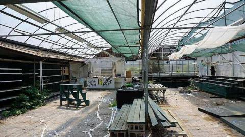 Photo from Greenthumb