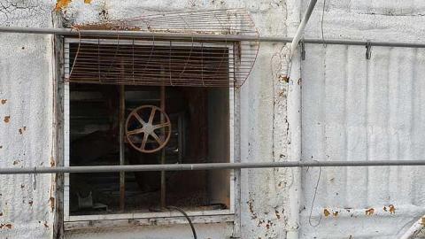 Greenthumb - o-DSC02240.jpg