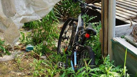 Greenthumb - k-DSC02242.jpg