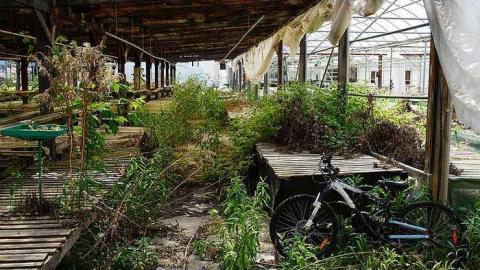 Greenthumb - o-DSC02245.jpg