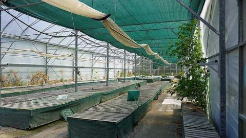 Greenthumb - f-DSC02246.jpg