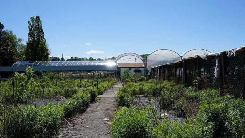 Greenthumb - i-DSC02248.jpg