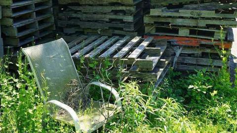 Photo from Greenthumb