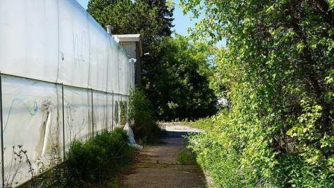 Greenthumb - i-DSC02256.jpg