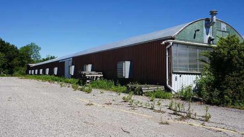 Greenthumb - z-DSC02261.jpg