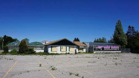 Greenthumb - s-DSC02221.jpg