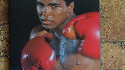 Redneck Mess '17 - DSC09064.jpg