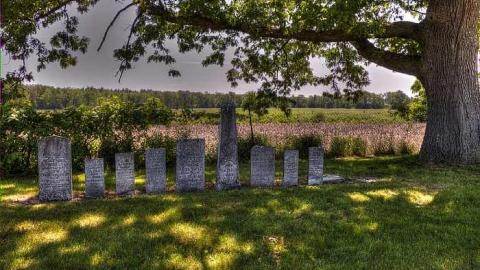 Pioneer Pruning - Tapley-Pioneer-Cemetery14.jpg