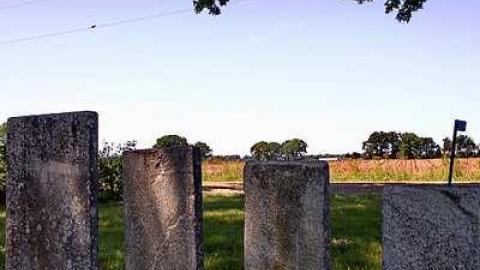 Pioneer Pruning - Tapley-Pioneer-Cemetery2.jpg