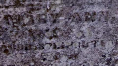 Pioneer Pruning - Tapley-Pioneer-Cemetery15.jpg