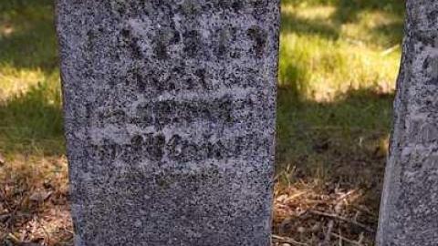 Pioneer Pruning - Tapley-Pioneer-Cemetery16.jpg