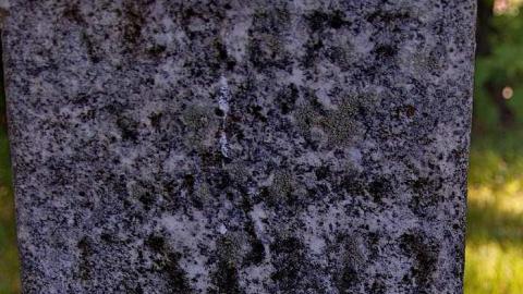 Pioneer Pruning - Tapley-Pioneer-Cemetery4.jpg